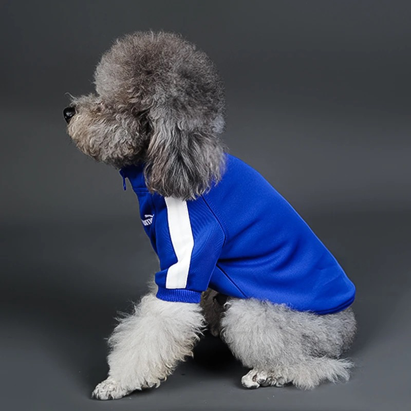 【直播过款】宠物服饰尾单（NO退NO换）+无运费险