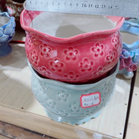 红陶1111111111111111111