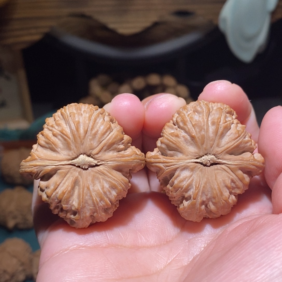 文玩核桃吊坠夏**花39白狮子