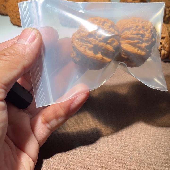 *****精品白狮子41尺寸