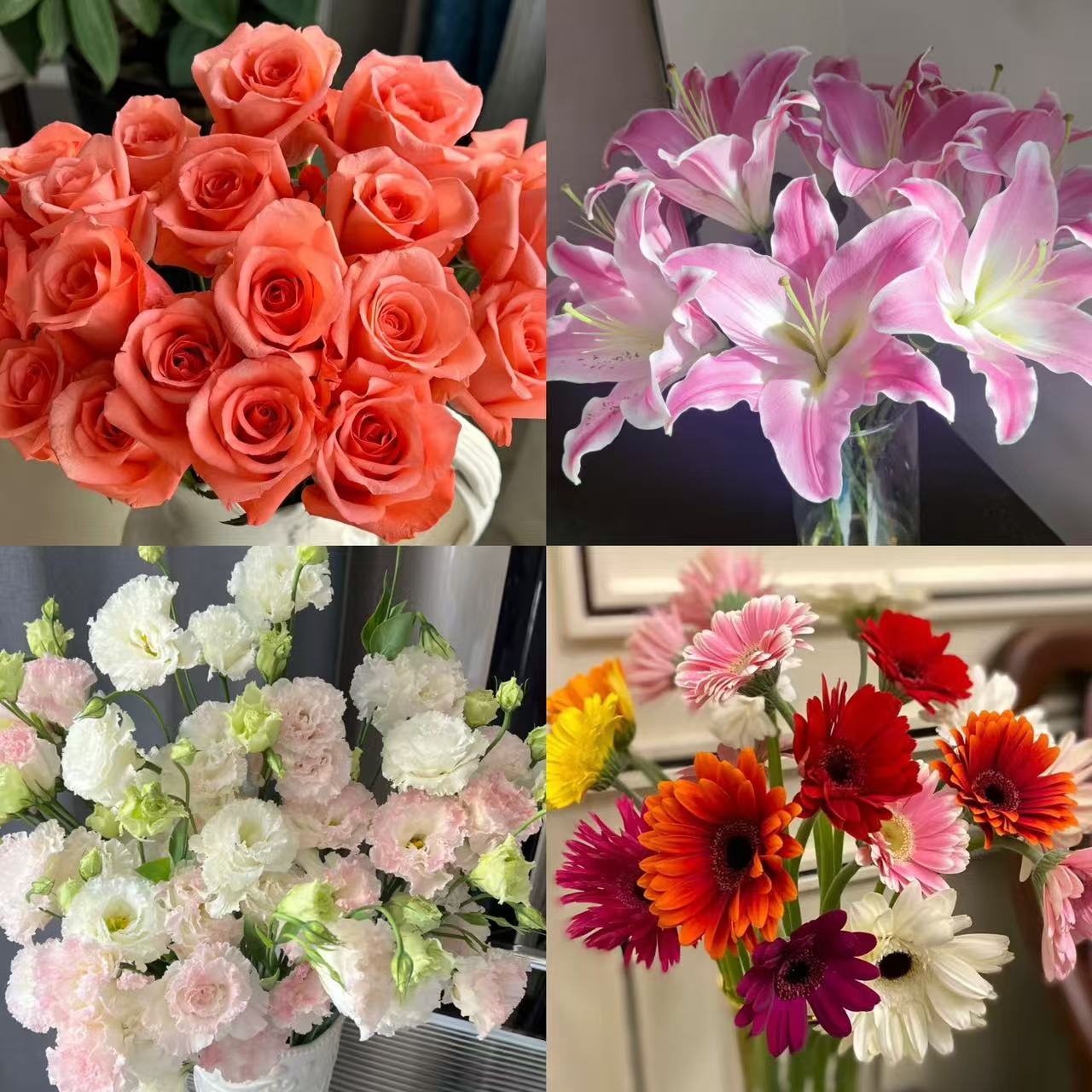 【粉玫瑰百合洋桔梗非洲菊组合】家庭插花客厅水养鲜花 基地直发