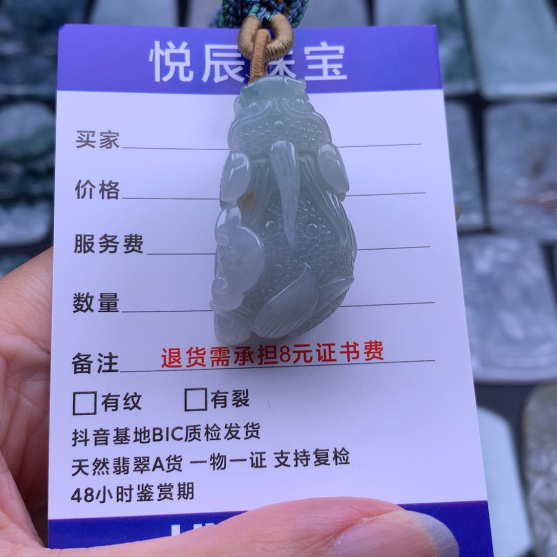 翡翠未镶嵌颈饰翡翠貔貅