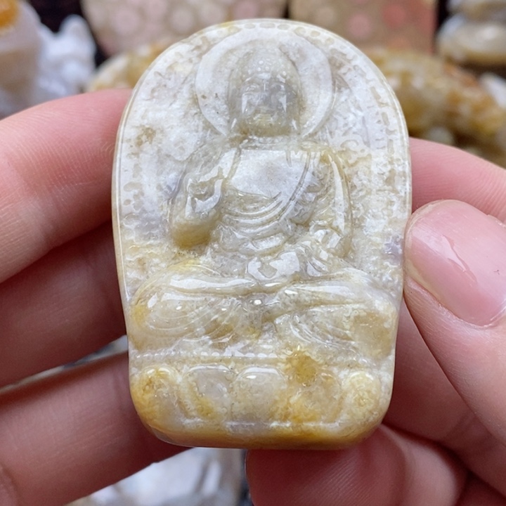 硅化珊瑚（珊瑚玉）颈饰未镶嵌