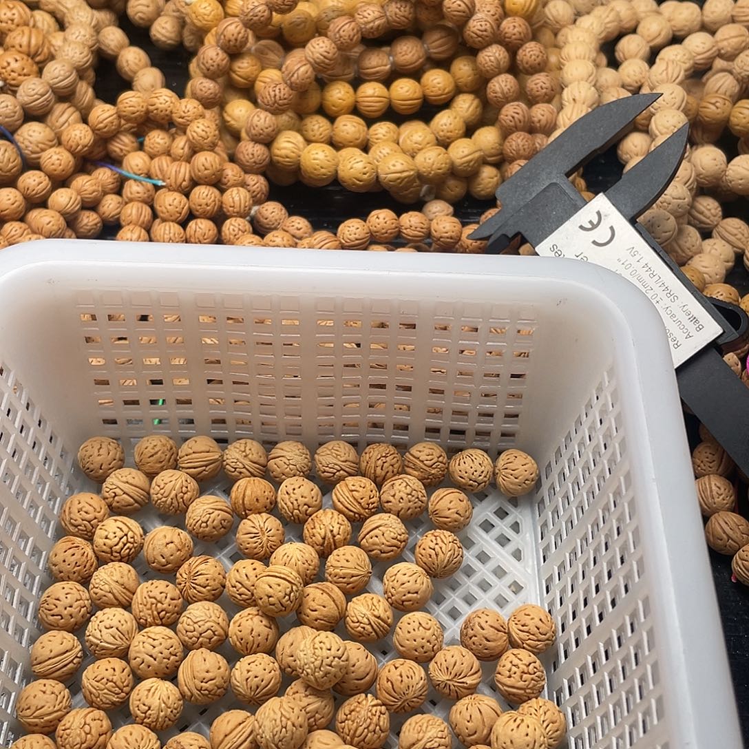 老***长散籽批发小桃核288