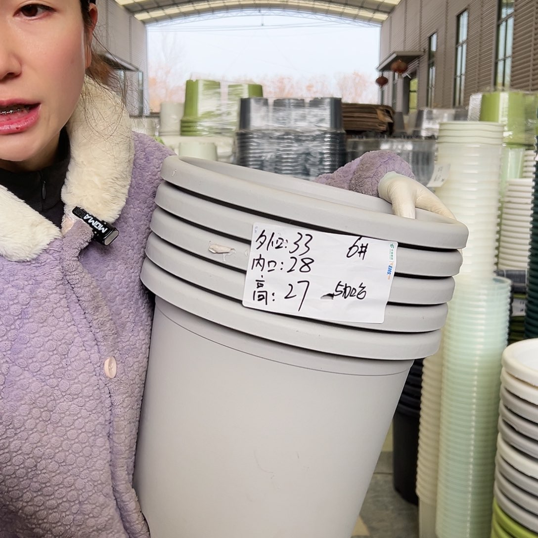 四季盆6#灰白5个无托