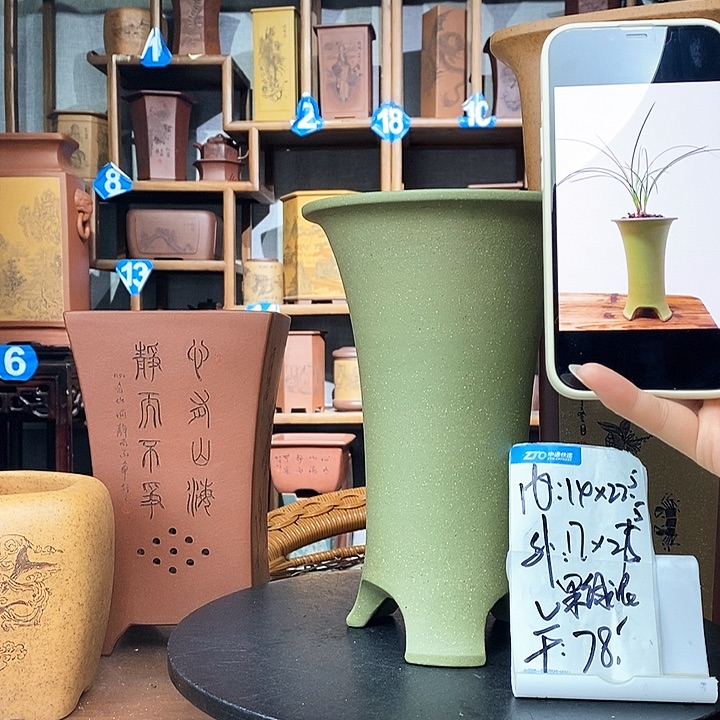 紫砂果绿泥只要78
