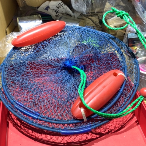 小鱼护开始拍啦哈