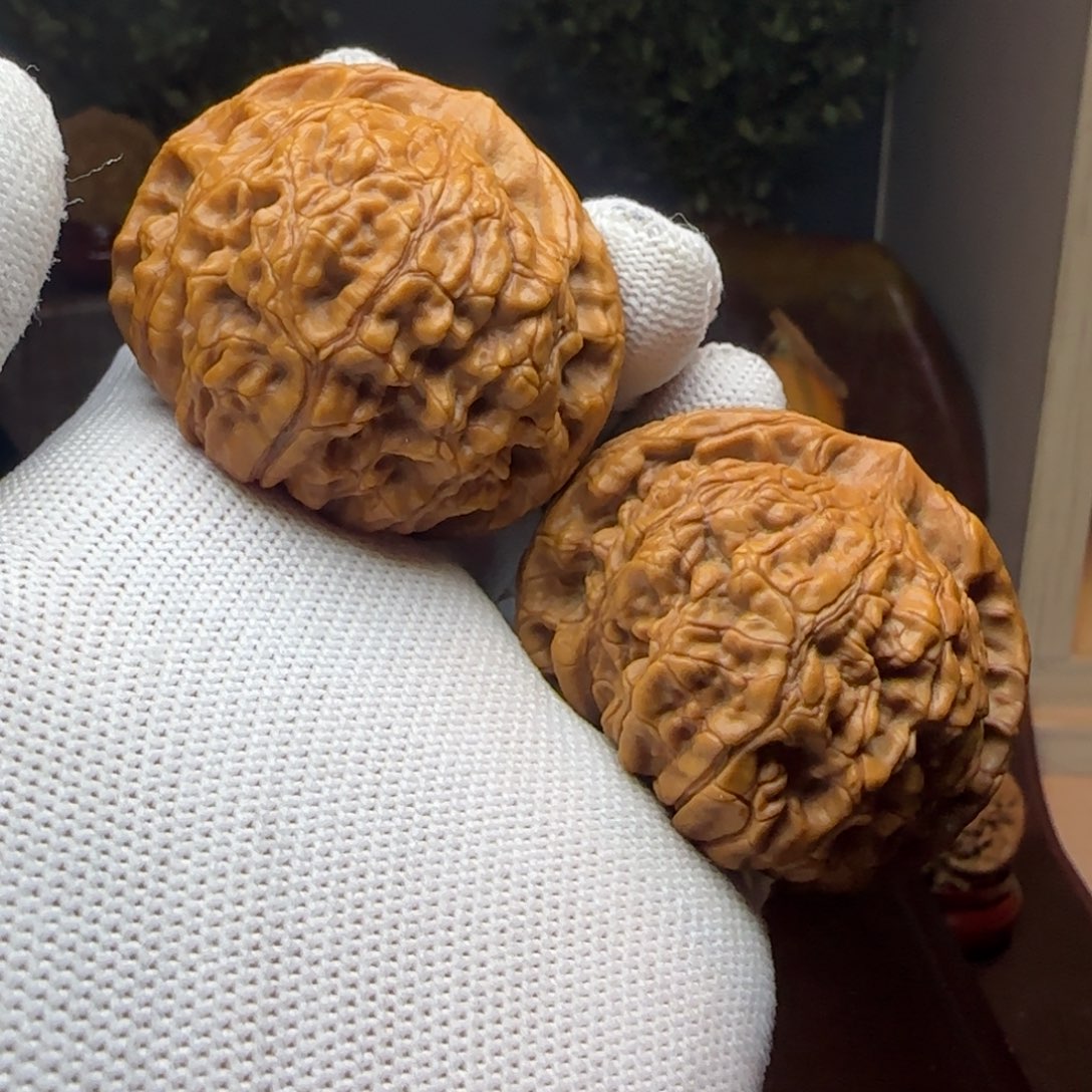 文玩核桃把件龙鼎帽