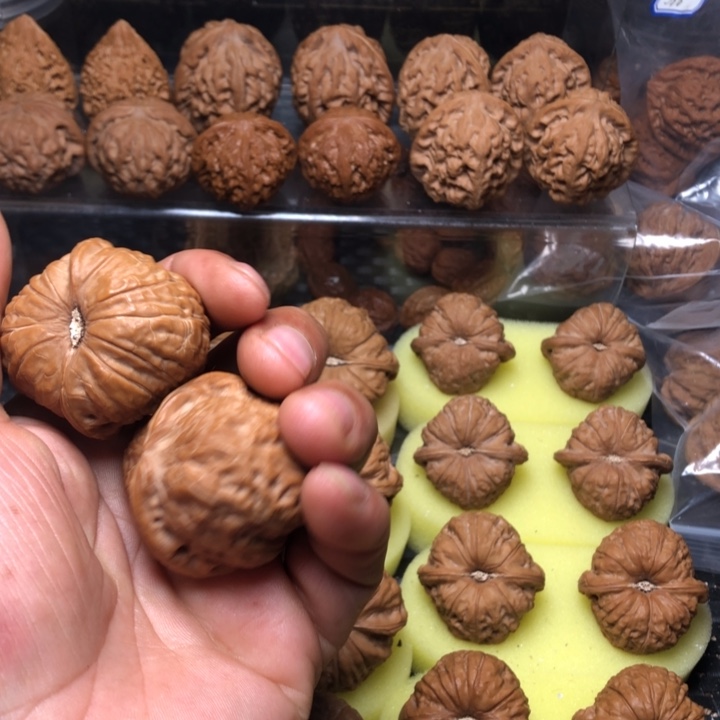 平***乐大叶紫檀（黑酸枝木类）