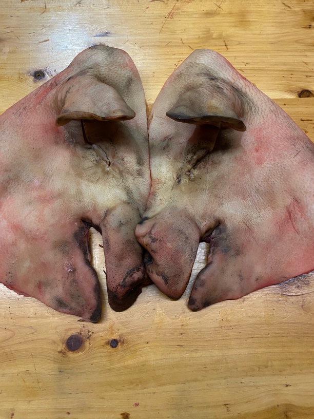 新鲜藏香跑山猪猪头皮7斤带骨带耳凉拌卤味下饭菜