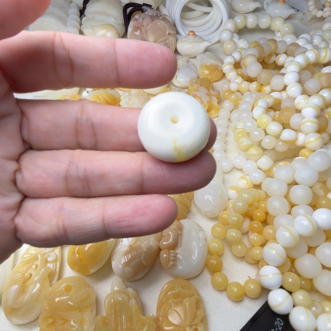 南***.贝壳非金属天然贝壳