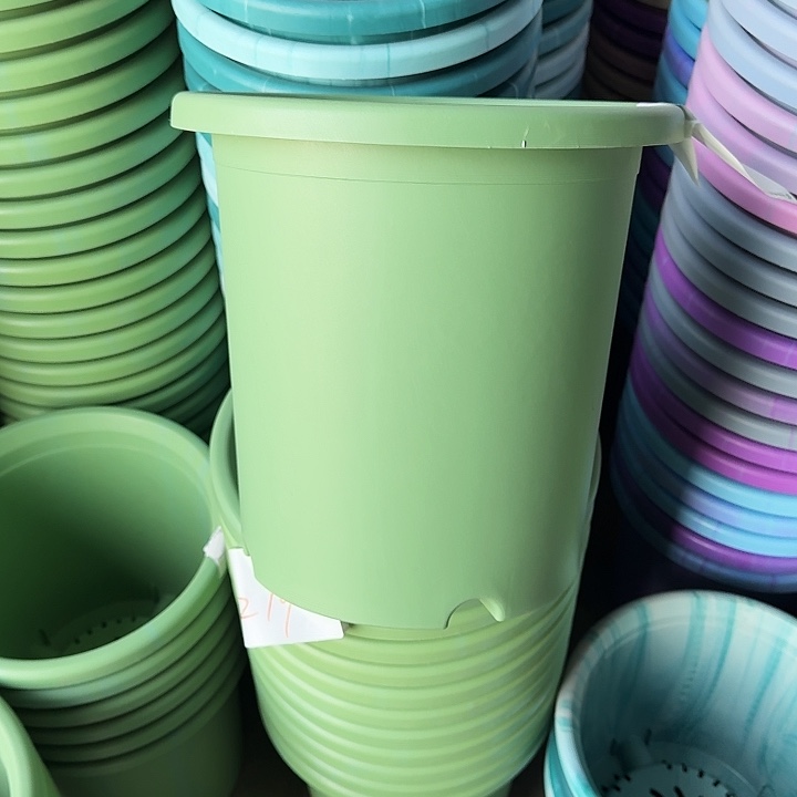 串色7#口径33浅绿6个无托