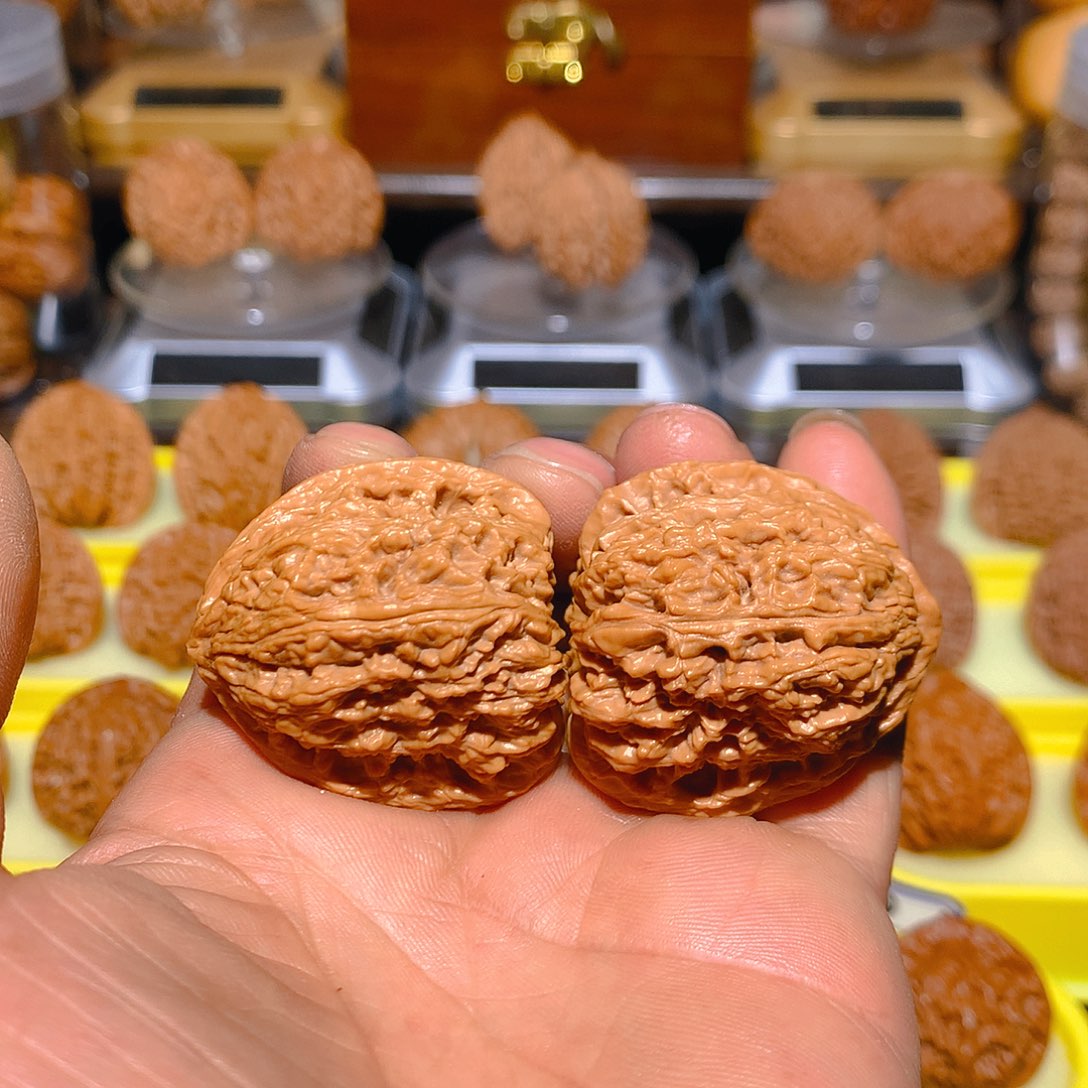 蚂蚁拉丝纹丑疆小高炮