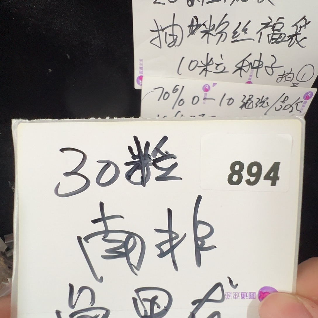 多肉植物专拍植物不退换 一物一拍 894