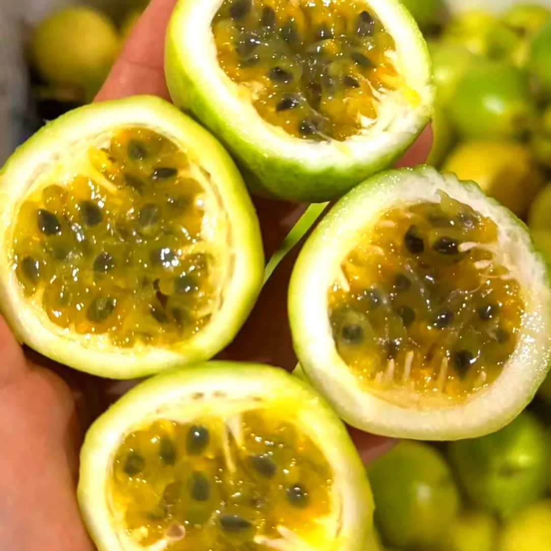[钦蜜9号百香果1]广西钦州正宗钦蜜9号百香果新鲜现摘当季水果