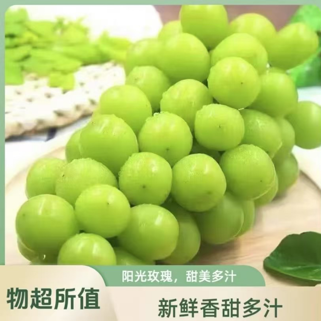 【顺丰包邮】正宗阳光玫瑰葡萄新鲜应季脆甜鲜香整串发货