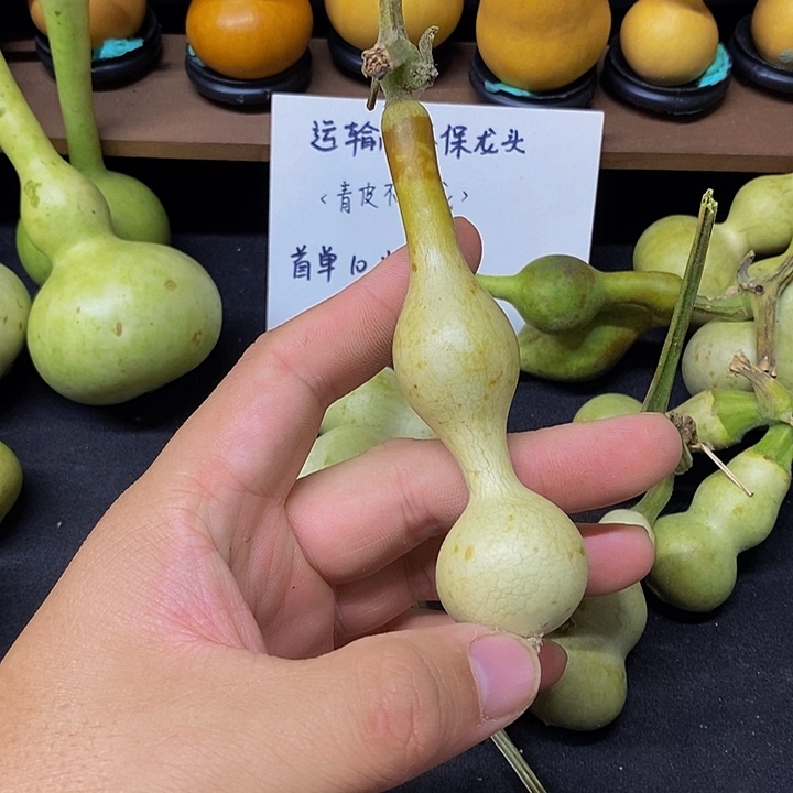 四**光长嘴哈哈哈哈哈哈哈哈哈哈好