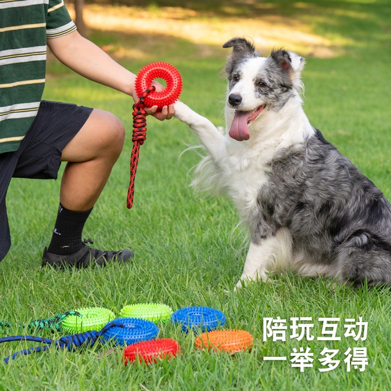 耐咬发声带刺圈TPR狗狗啃咬玩具大型犬洁齿磨牙环跨境热卖