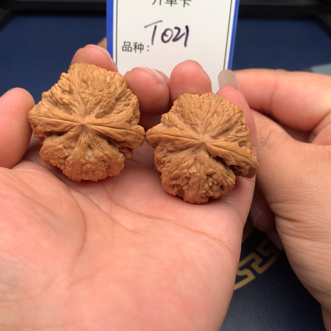 文玩核桃把件42粗筋021