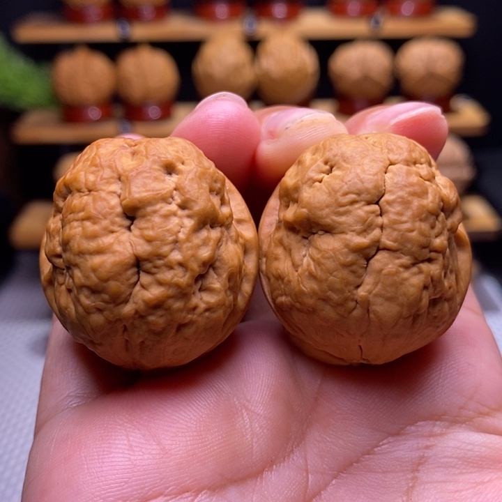 核桃云铁肌肉达摩14号