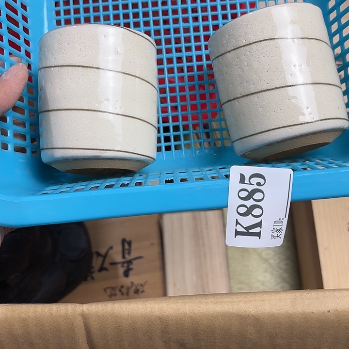 尖***肉钢化玻璃11111111111