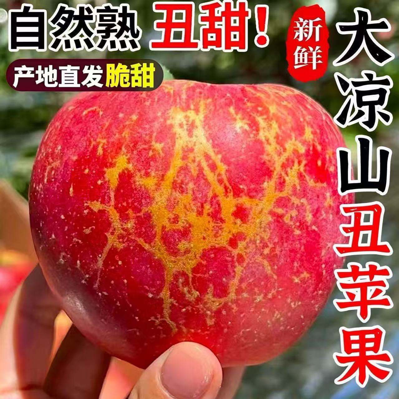 四川大凉山苹果四川省