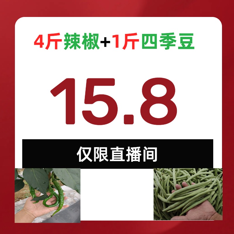 （辣椒）湖南湘西本地露天小螺丝椒（辣味超正，炒菜必备）