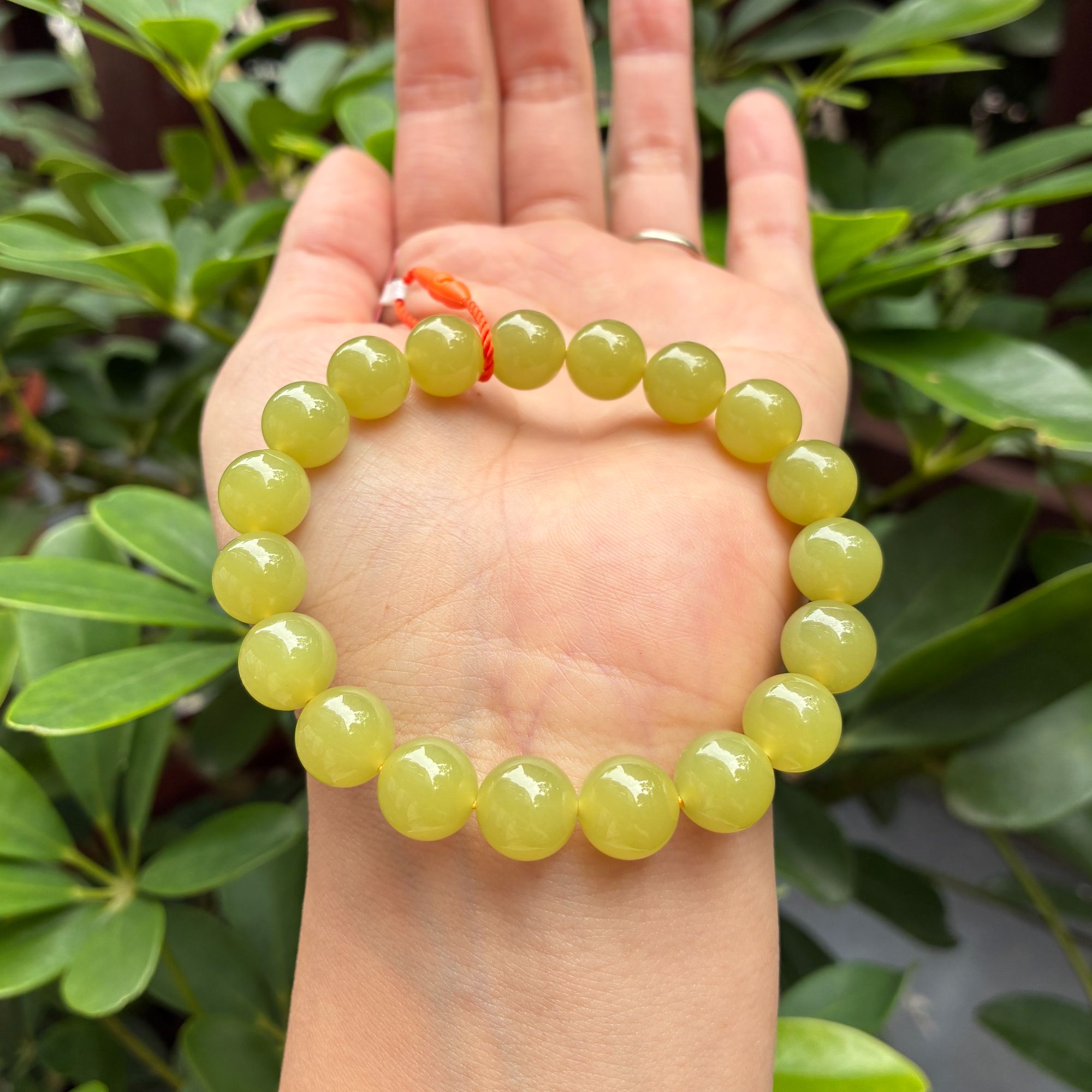 纯天然玉石和田玉手串青黄口青色保真保A保天然卡10mm多样性发一