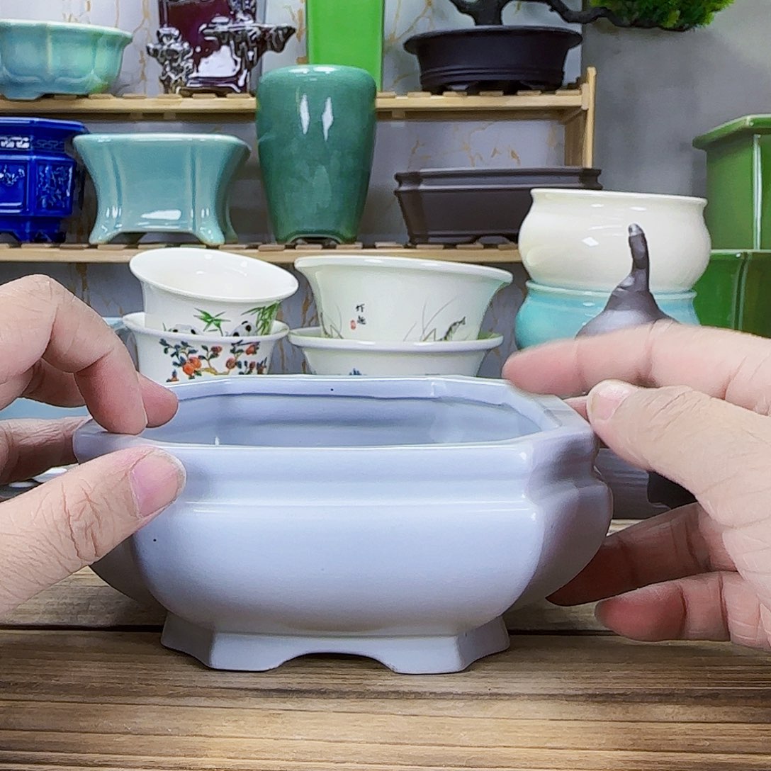 陶瓷花盆特价上新