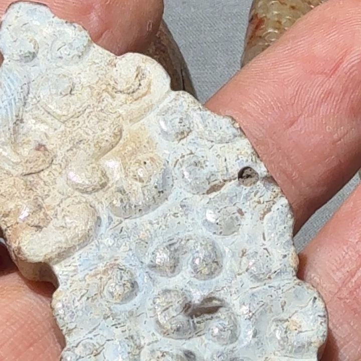 用***5和田玉未镶嵌车挂