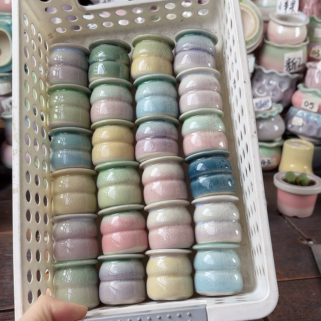 量货/2.5口高3.5深浅搭配发12