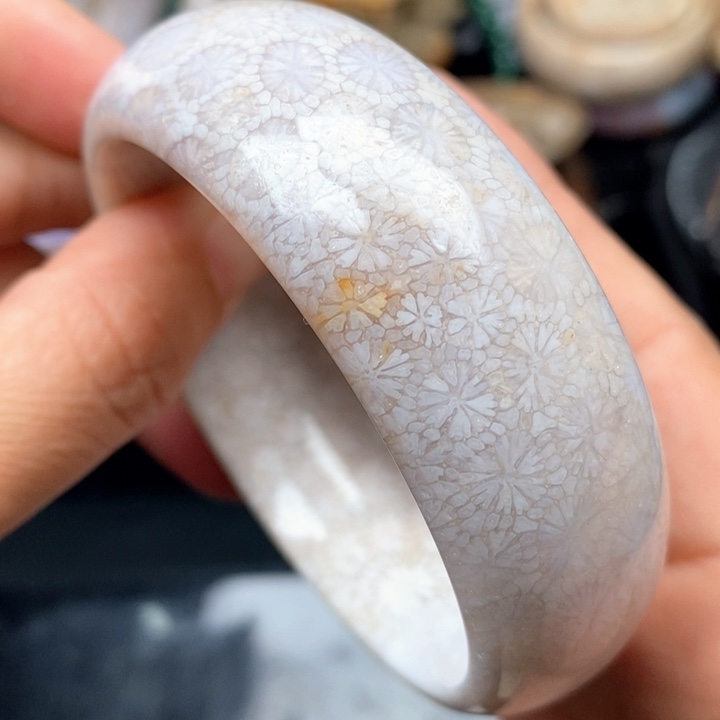 硅化珊瑚（珊瑚玉）手镯未镶嵌60.8