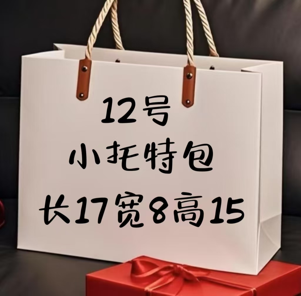 （12号）轻奢斜跨百搭休闲时尚小托特包8119