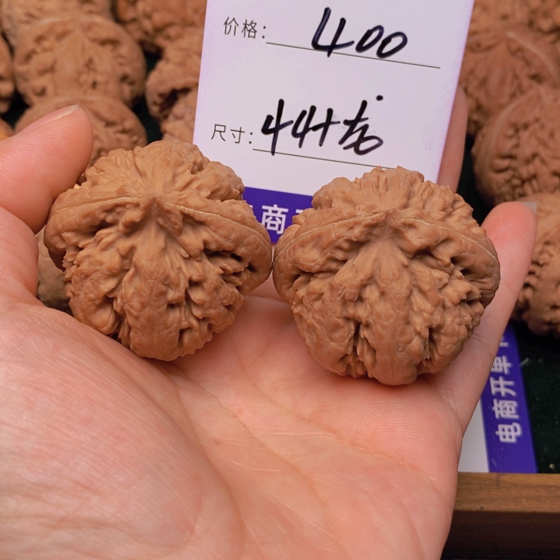 文玩核桃霸王龙核桃