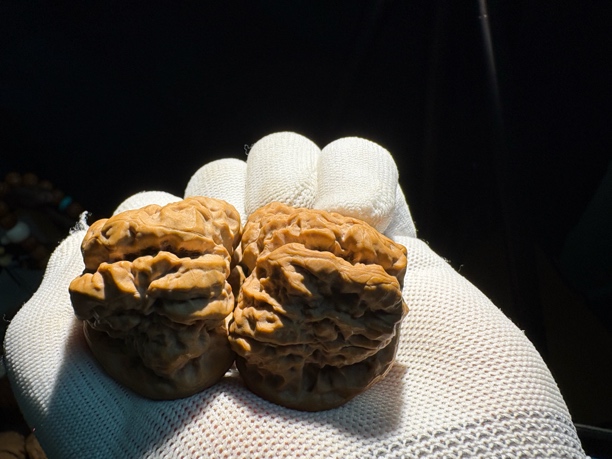 延庆蛤蟆头龙蟾王，四开背大蹬腿，饕餮纹，边44肚45+，蜡红皮白茬