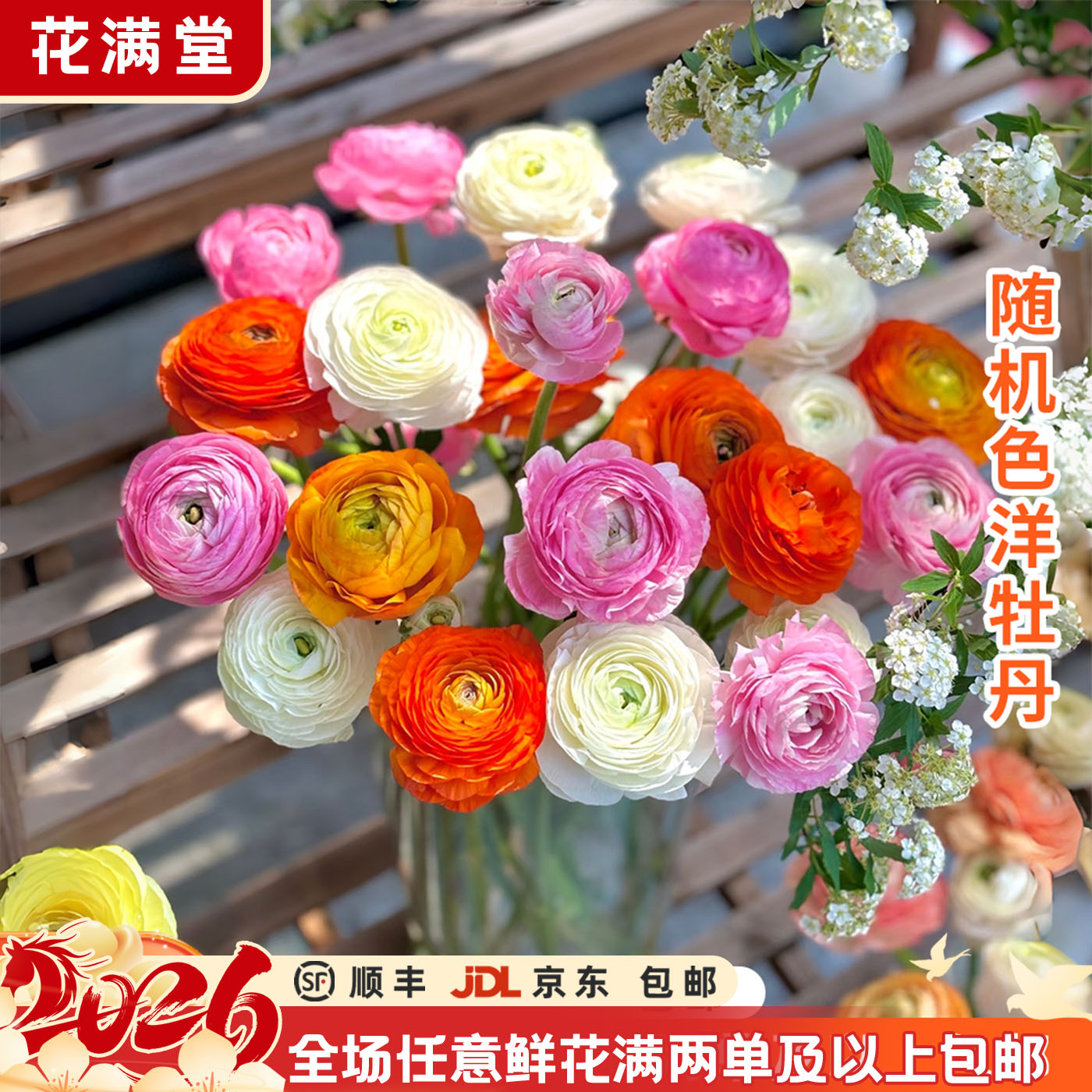 元旦限定【次日达·混色洋牡丹】不少于3个颜色·花苞发货·全场两单鲜花顺丰包邮·基地直发·批发·家居花DIY