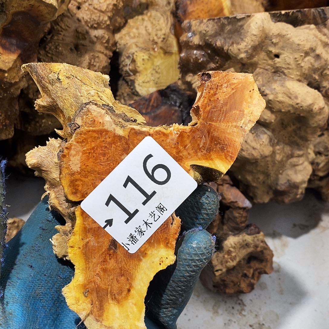 香榧木一*红火琉璃……火琉璃