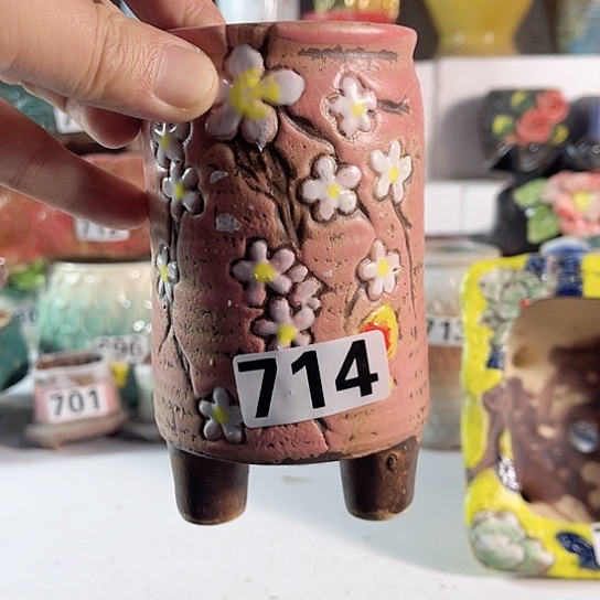 红陶多肉植物花盆