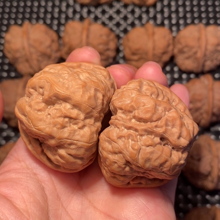 把件文玩核桃大八腿蛙王