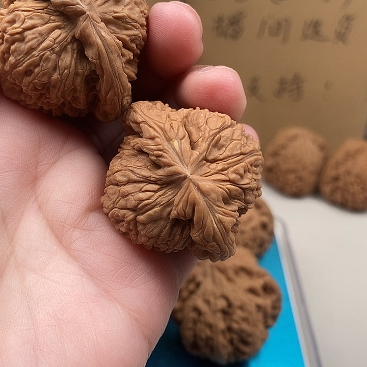 波***1木质类151.151.151