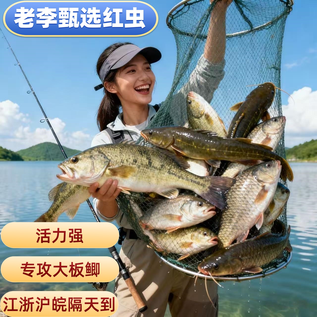 【挂钩特大号】鲜活超大号红虫钓鱼拉饵挂钩饵料适用于鲫鱼