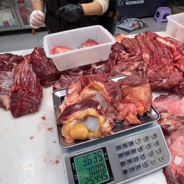 白***上12个月中国大陆马窝骨