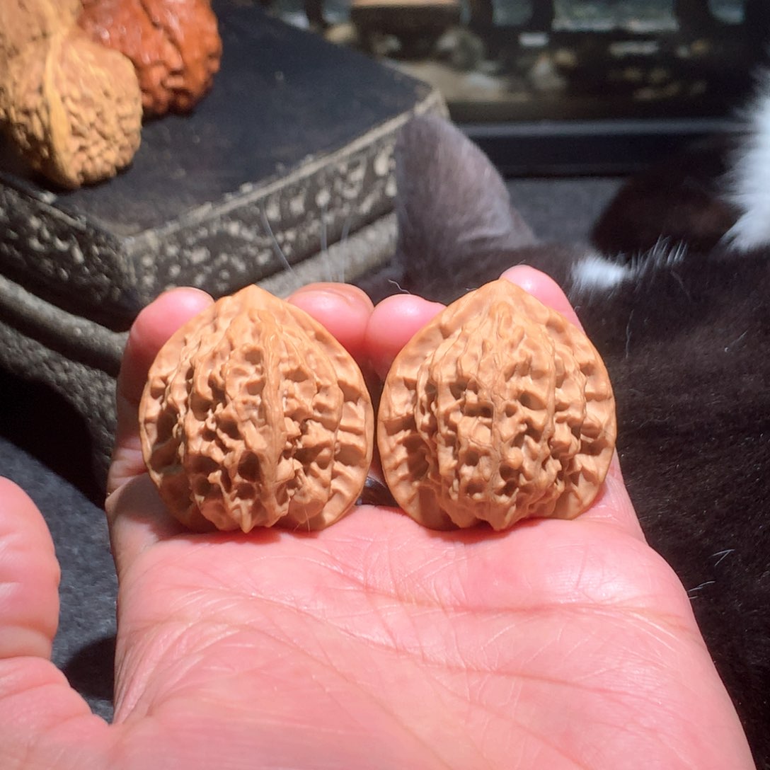 文玩核桃吊坠鱼的红野鸡心032905