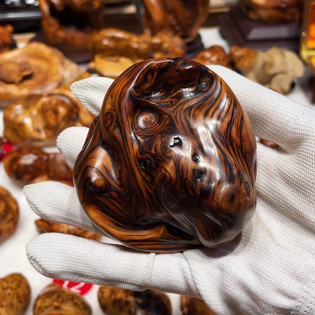 柏木（崖柏）太行崖柏