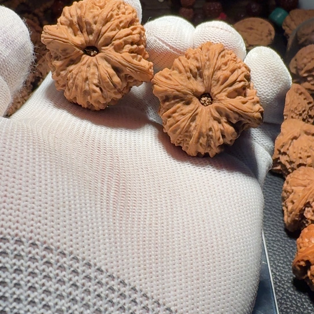 李***.吊坠文玩核桃有修有黄有色差