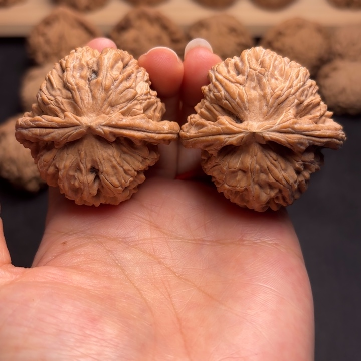 文玩核桃把件45白狮子克重47.6