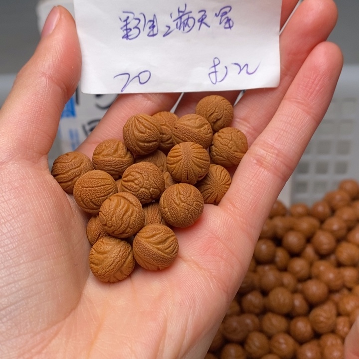 手串桃核12mm左右野生满天星20颗（打孔）