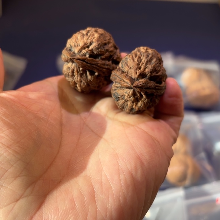 文玩核桃吊坠金鼎大粗筋