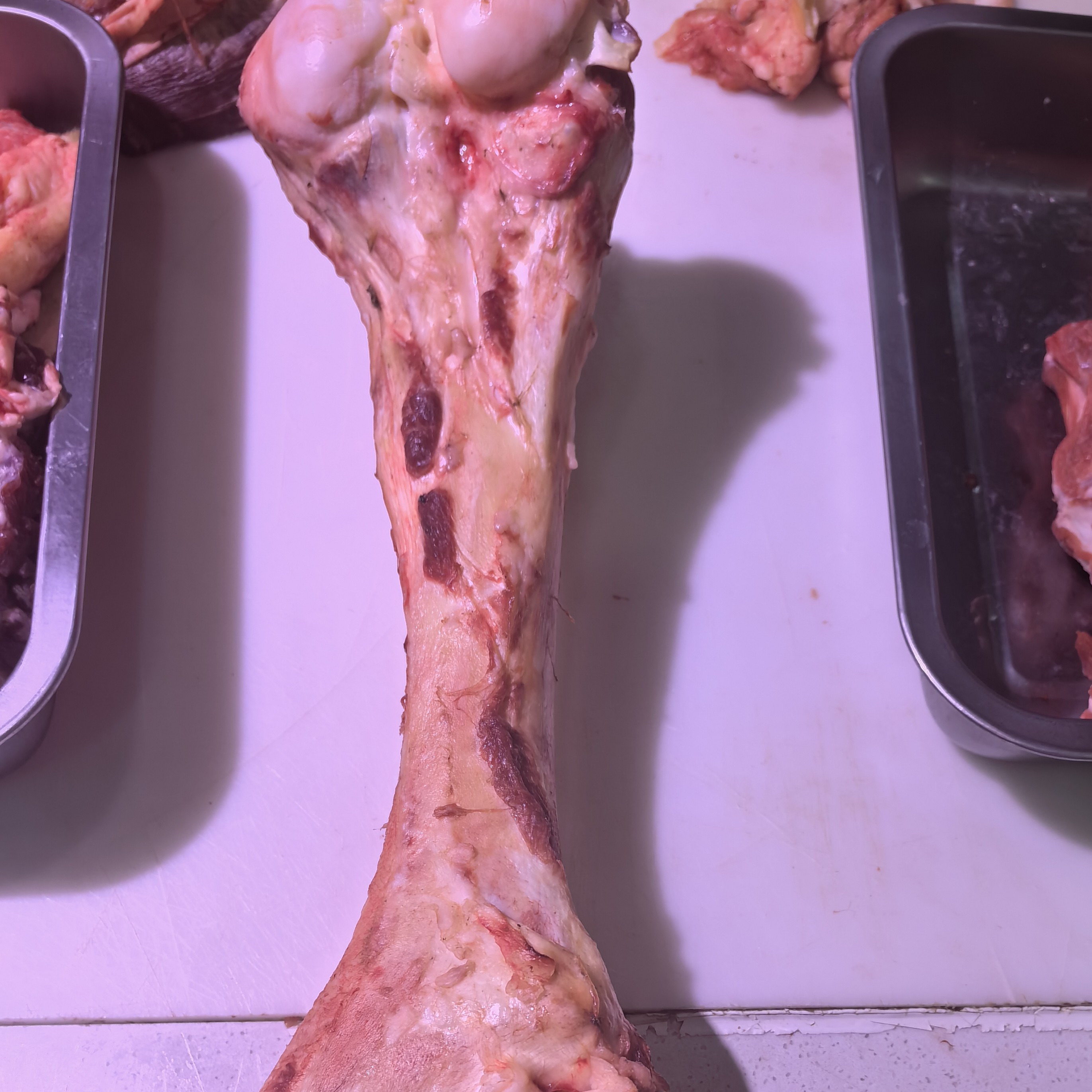 牛棒骨 熬汤 骨髓 5斤