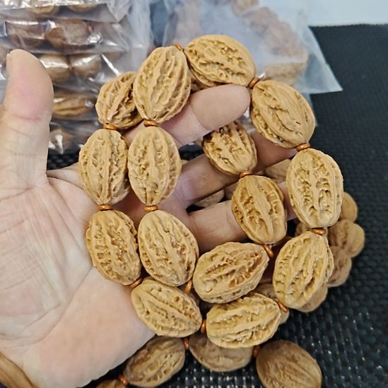 木质类纯野生山核桃      15